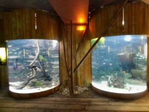 Grand Aquarium de Touraine (12)