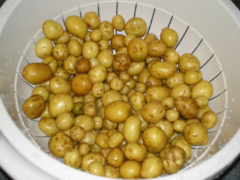 Toutes Petites Pommes De Terre A L Ail Au Four Pour Ceux Qui