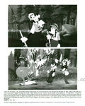 dingo_max_photo_presse_02