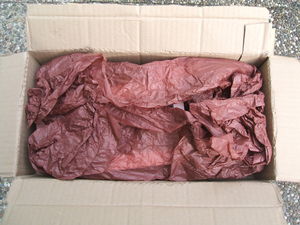 DSCF4216