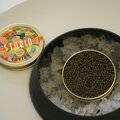 A la découverte du caviar français : sturia