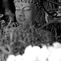 IMG_1197nb