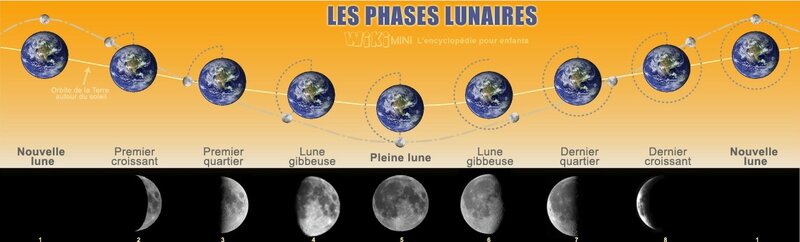 Paysagiste Pays Basque : Lune-phases-lunaires