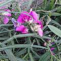 20190915_120117