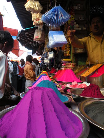 Mysore___Calicut___arriv_e_Cochin_315