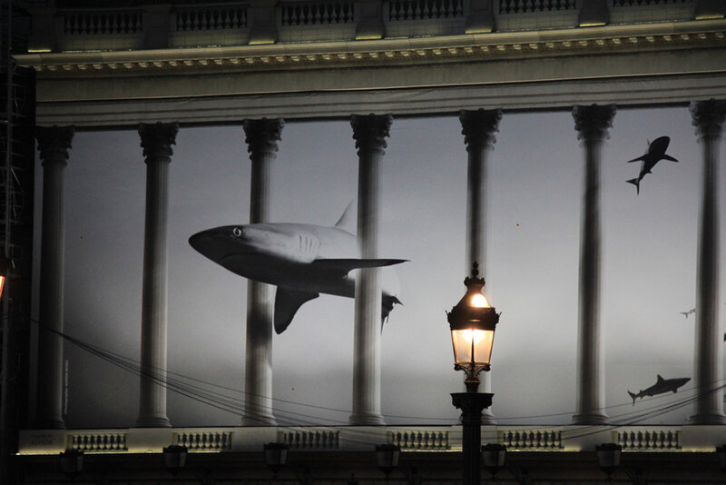 requin_paris