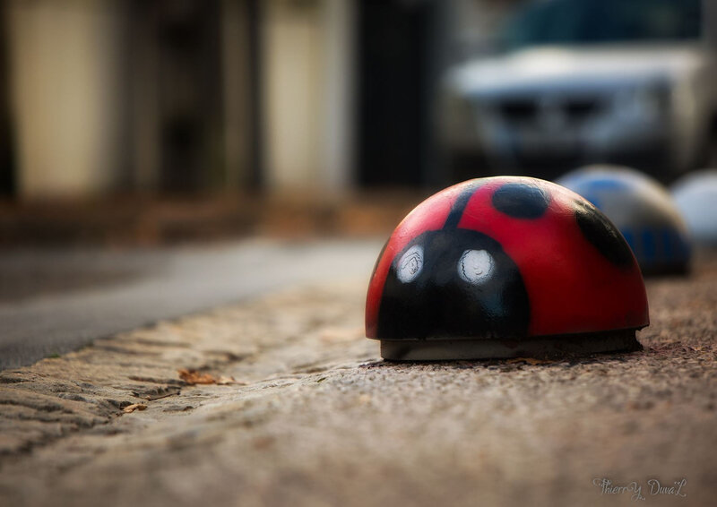 Coccinelle