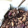 Granola choco quinoa & flocons d'avoine