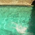 gafsa raouf kaabachi wed elbay (6)