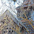 IMG_6044