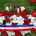 IMGP3377