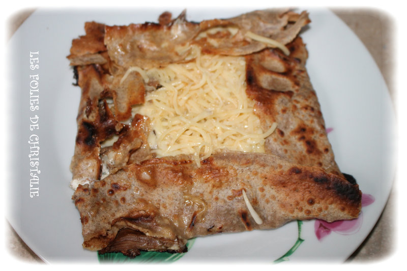 Galette effiloché 5