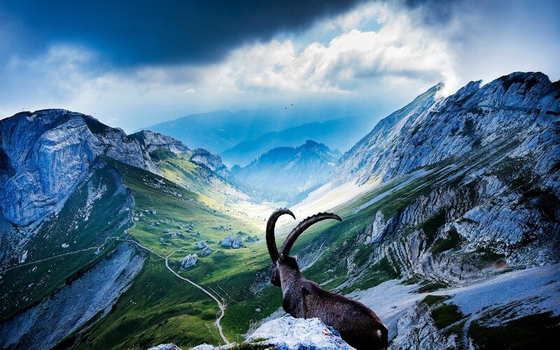 mount_pilatus-wide