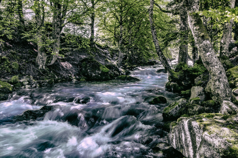 IMG_0640-7--2 copie