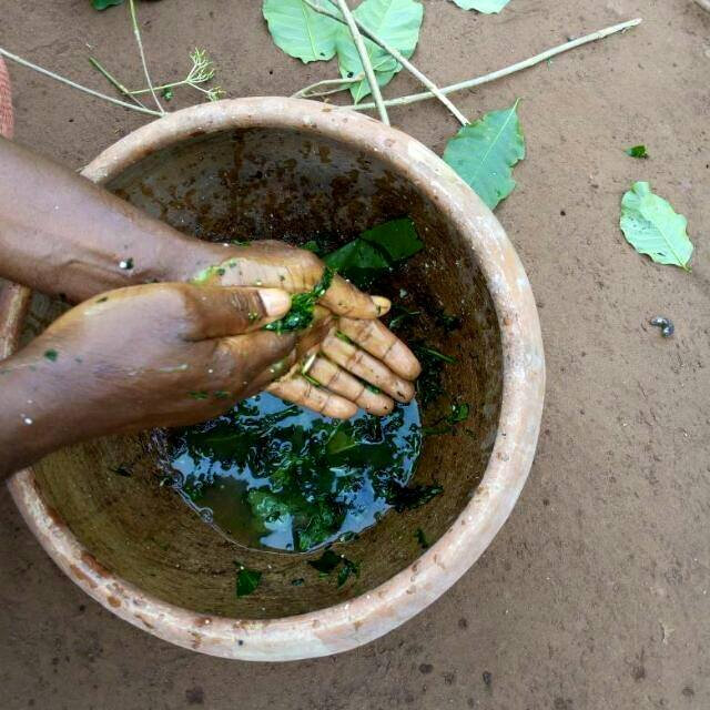 tisane goudagli