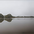 Etang étendu ...