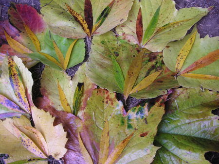 PICT0054