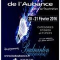 Résultats des soulainois au tournoi de badaubance - vauchrétien les 20 et 21/02/2016
