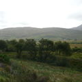 Tourbière du Connemara