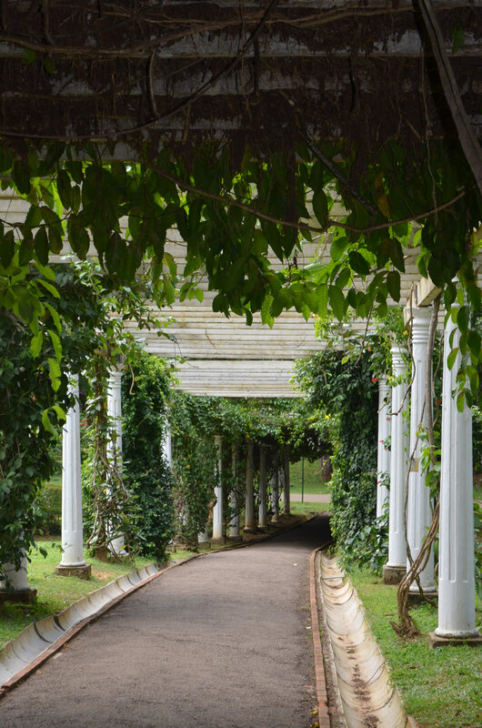 Botanic garden 22