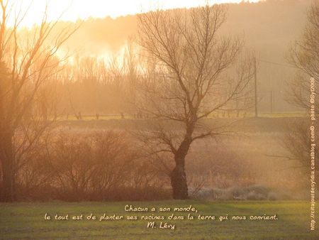 u__IMG_3388