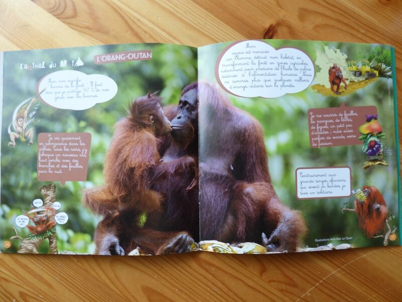 Cram Cram Iles Banggai (3)