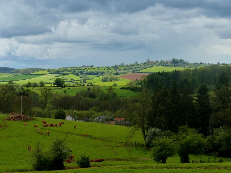 P1630732