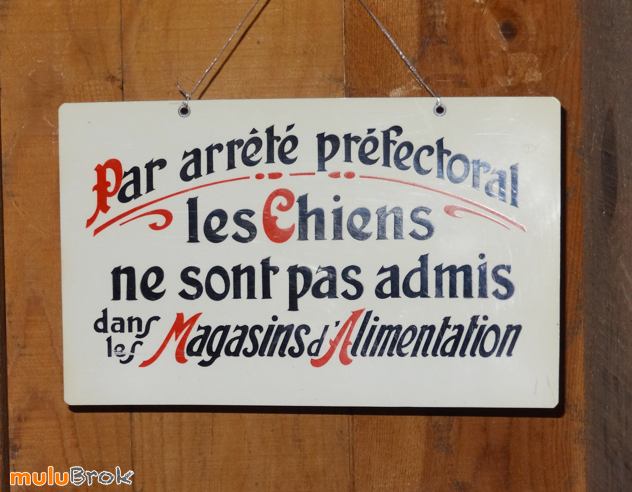 Pancarte-CHIENS-02