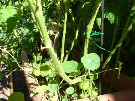 DSCF0054__R_solution_de_l__cran_