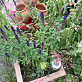 20190622_113327 - Copie