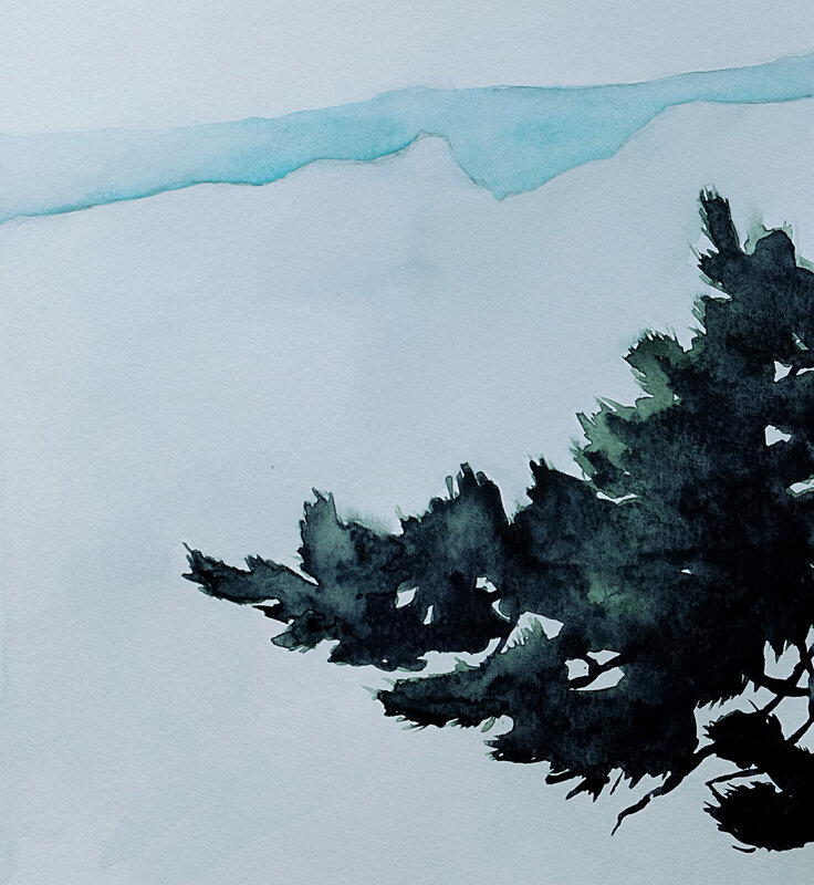 pin dans la brume, aquarelle 1 mai 2018