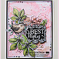 Carte BEST WISHES Pink Ink Designs (1)