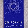 Carte postale estivale – paris et les maki de blueberry