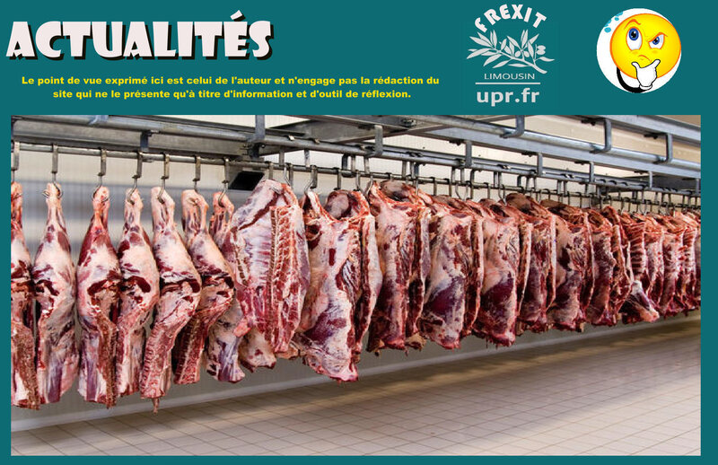 ACT BRESIL SCANDALES VIANDE