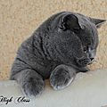 _DSC0100
