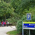 _IGP9777