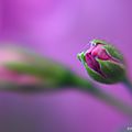 IMG_1843