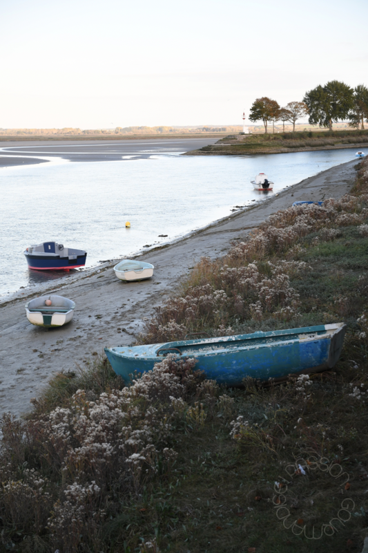 Baie de Somme_8
