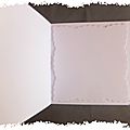 ART 2017 12 roses blanches de Noel 5