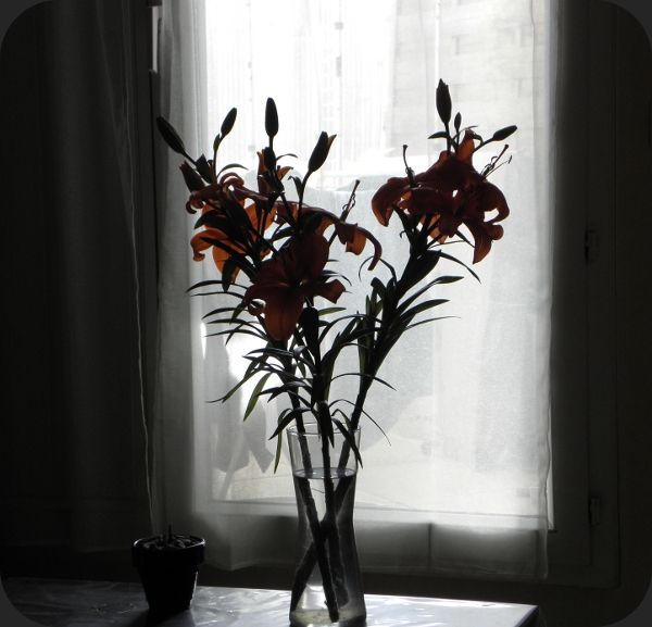 bouquet lys