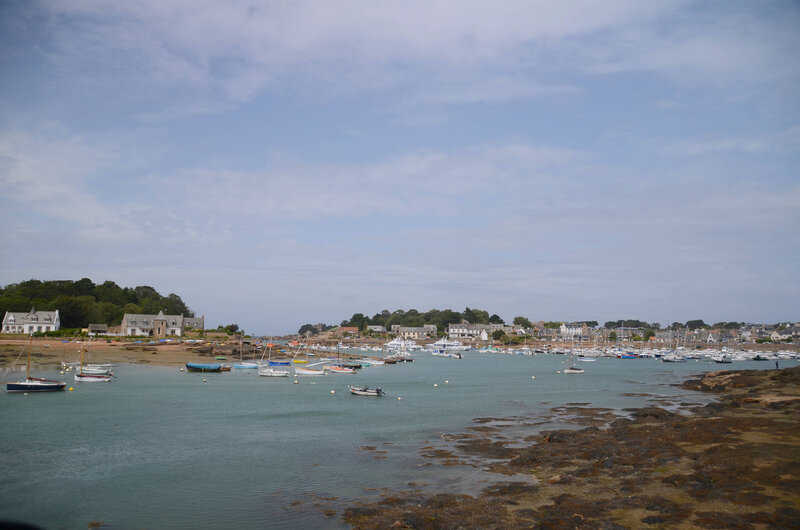 DSC_3776;