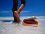 johnston_greg_female_feet_and_conch_shell_on_a_pink_sand_beach_pink_sands_beach_harbour_island_bahamas