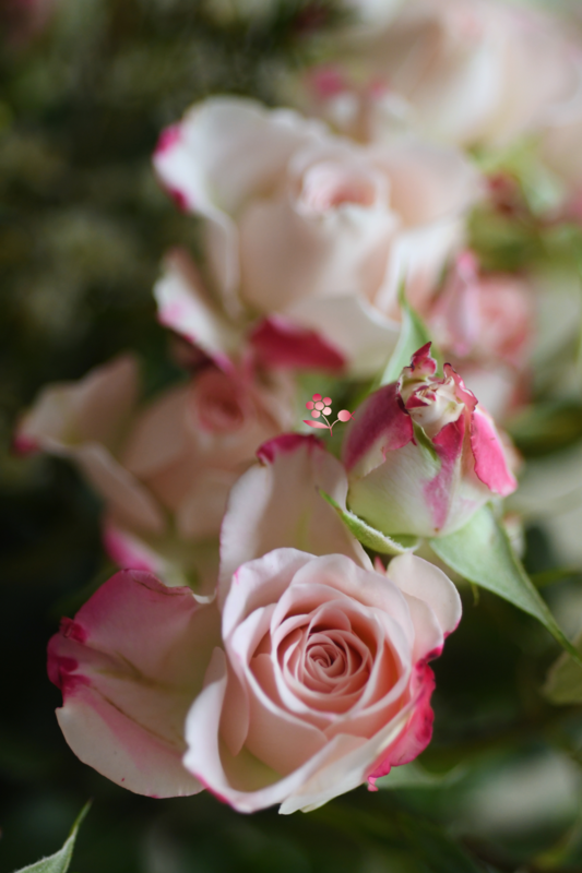 Bouquet Axelle_20