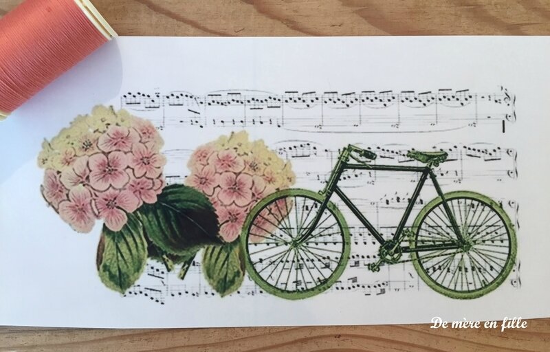 vélo et hortensias roses