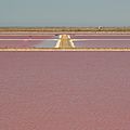 SALIN DE GIRAUD (Camargue )