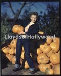 1945_california_trip_jeans_by_dedienes_020_01