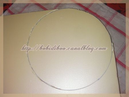 SANY0008