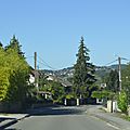 _DSC0262