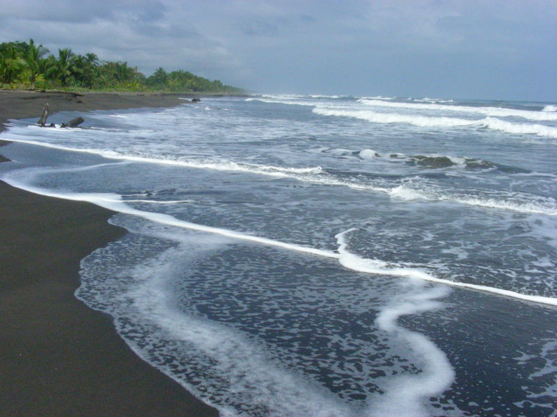 Plage De Tortuguero Photo De Cote Est Du Costa Rica Mon