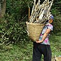 DSC05352